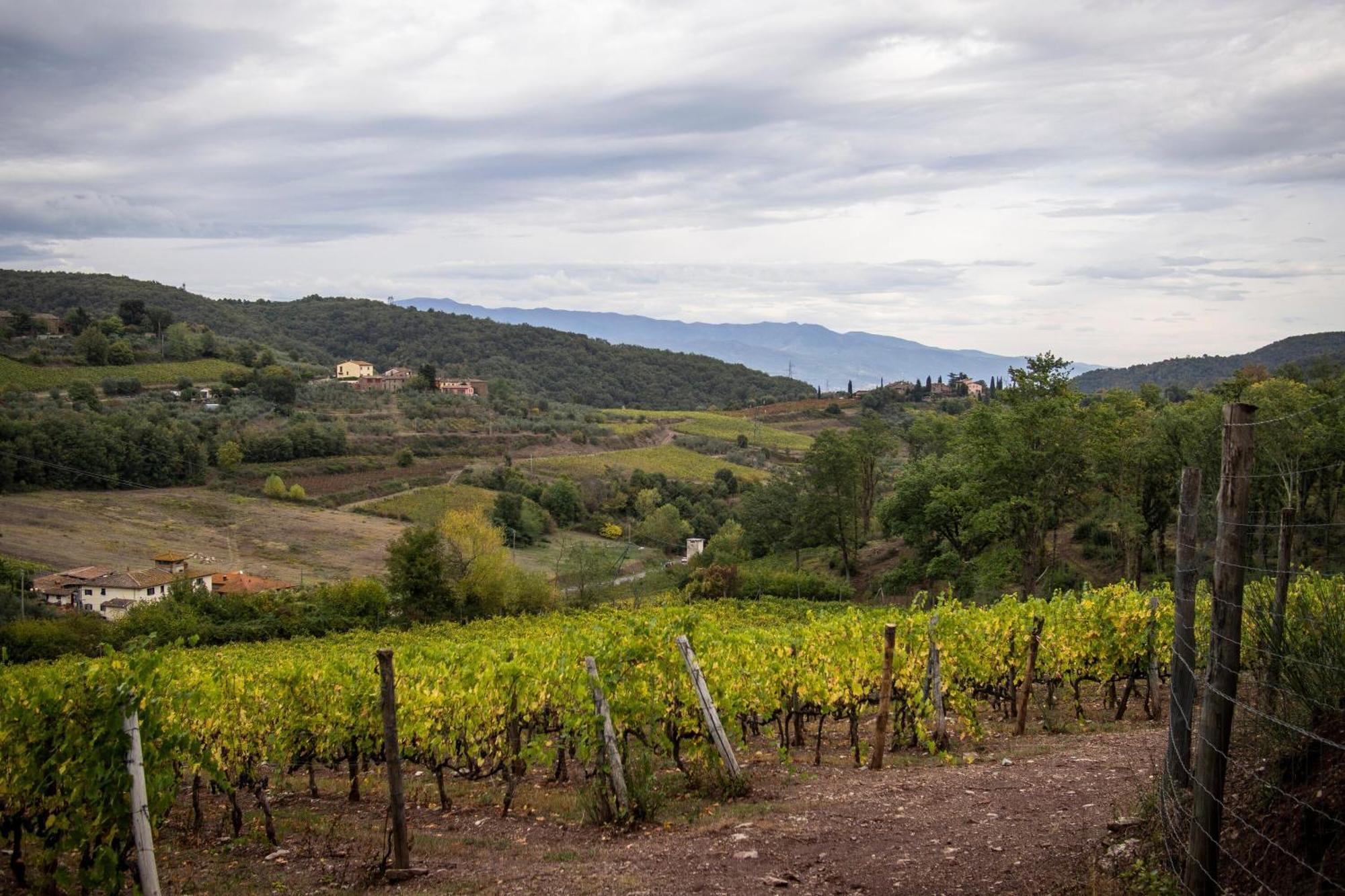 Tuscan Home S Margherita Private Outdoor - Happy Rentals Bucine Екстер'єр фото